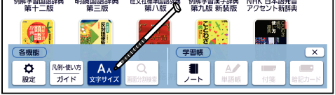 Change_Font_Size 001 SA2910